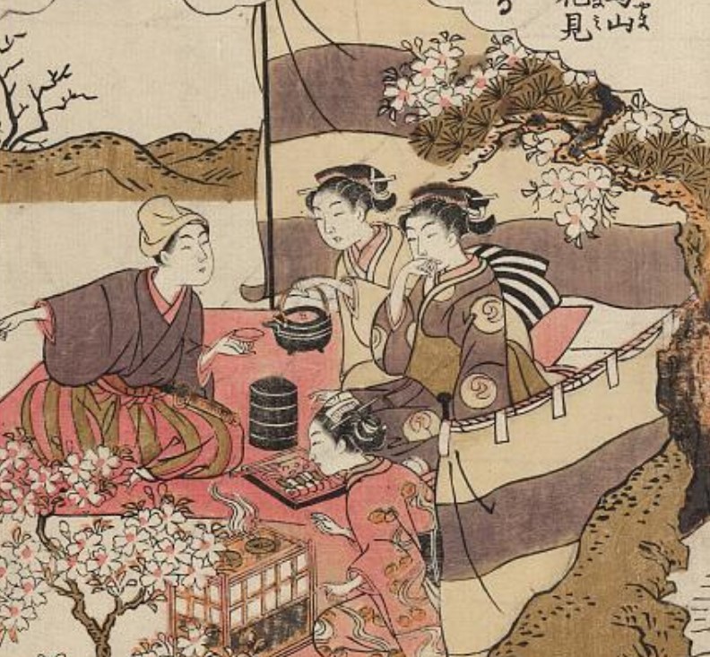 hanami-xiii